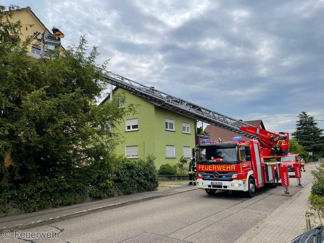 sonstige sonstige