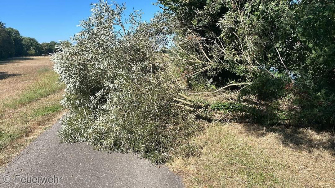 Technische Hilfeleistung Technische Hilfeleistung