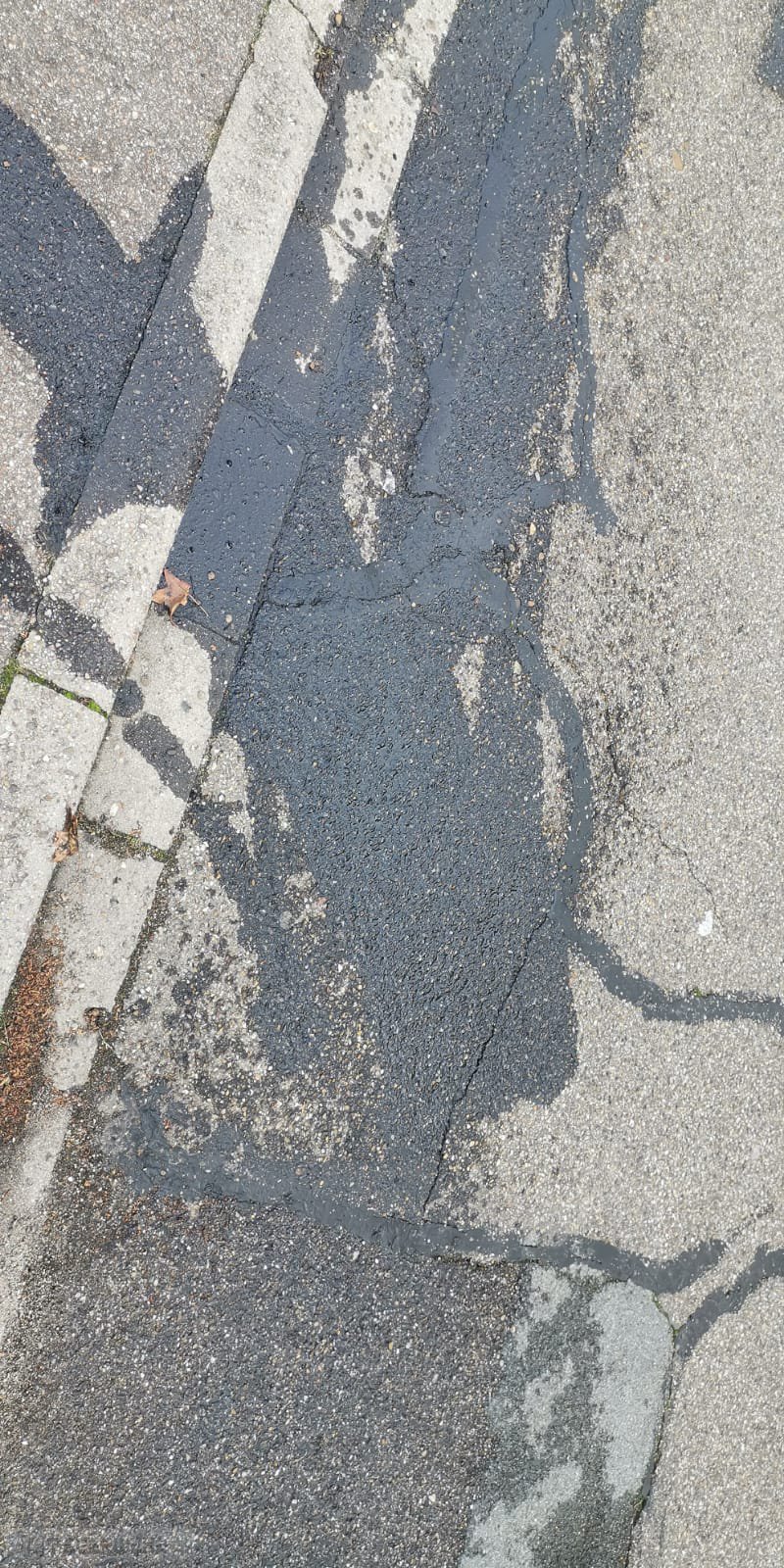 Umwelteinsatz Umwelteinsatz