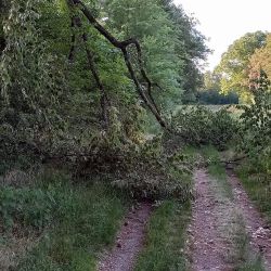 Technische Hilfeleistung